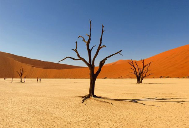 بالصور صحراء كلهاري في قارة أفريقياء Kalahari Desert Photos In Africa-عالم الصور